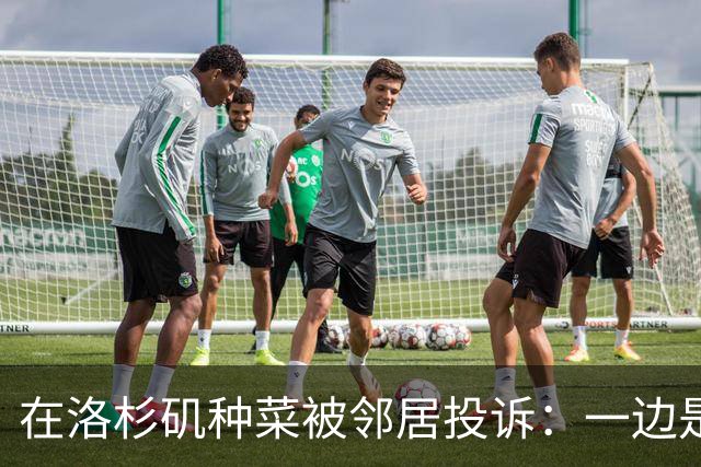 在洛杉矶种菜被邻居投诉：一边是中国人的乡愁，一边是美国人的规矩